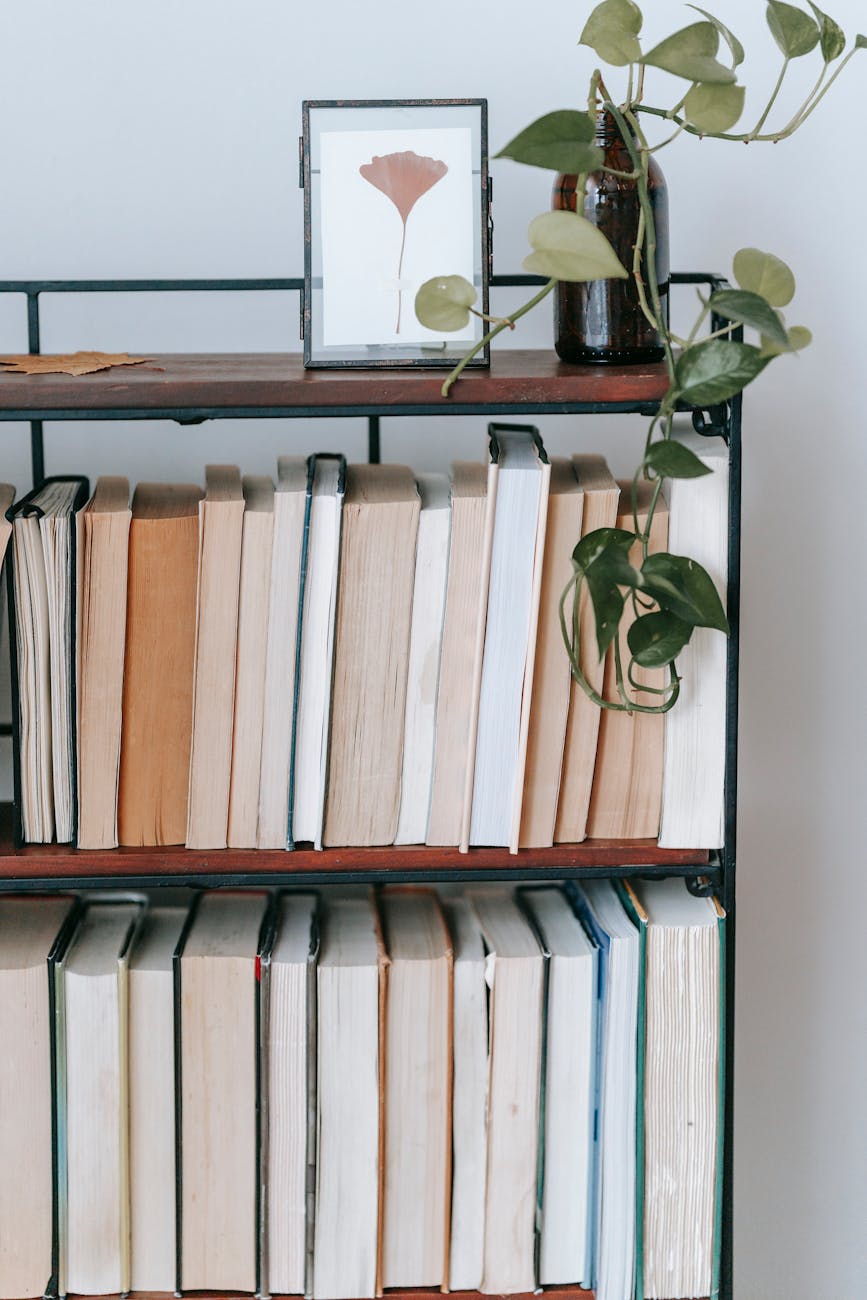 creeping plant in vase on bookcase with collection of literature